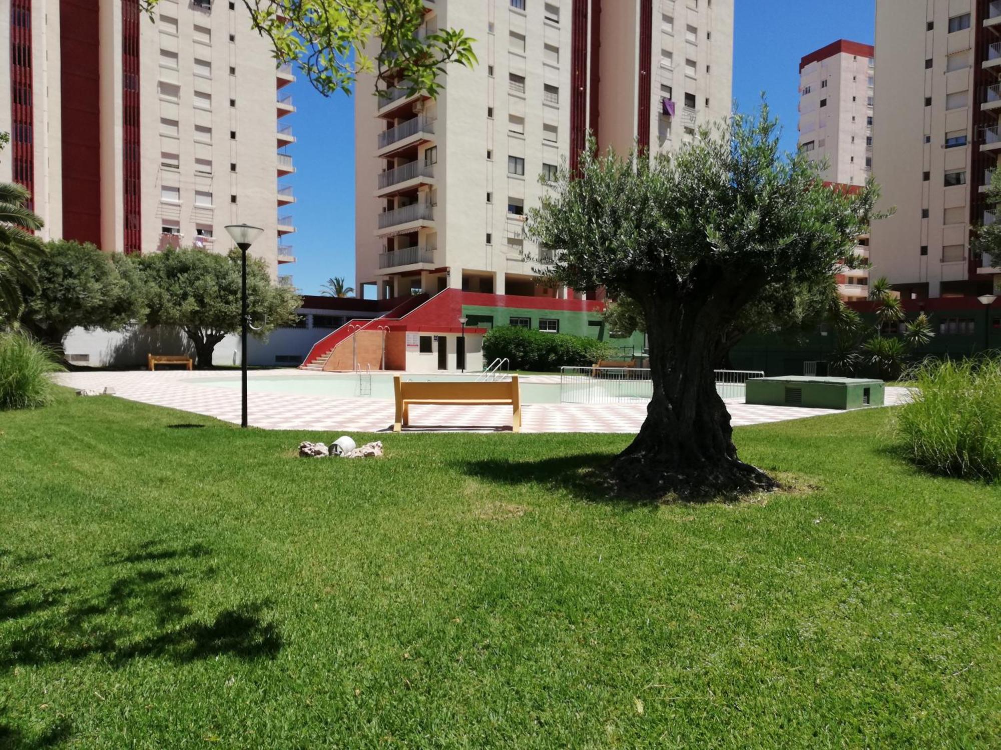 Danio Solo Familia Serviplaya Playa de Gandia Esterno foto